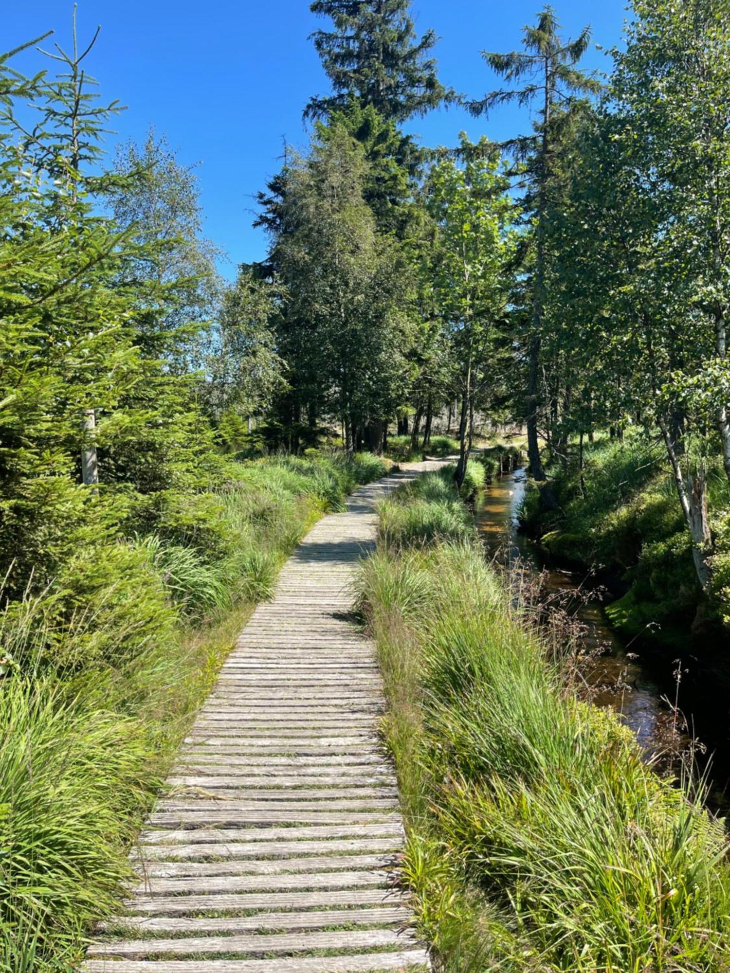 Harz Escape Apartman Torfhaus Kültér fotó